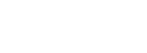 RocketWerkz Logo