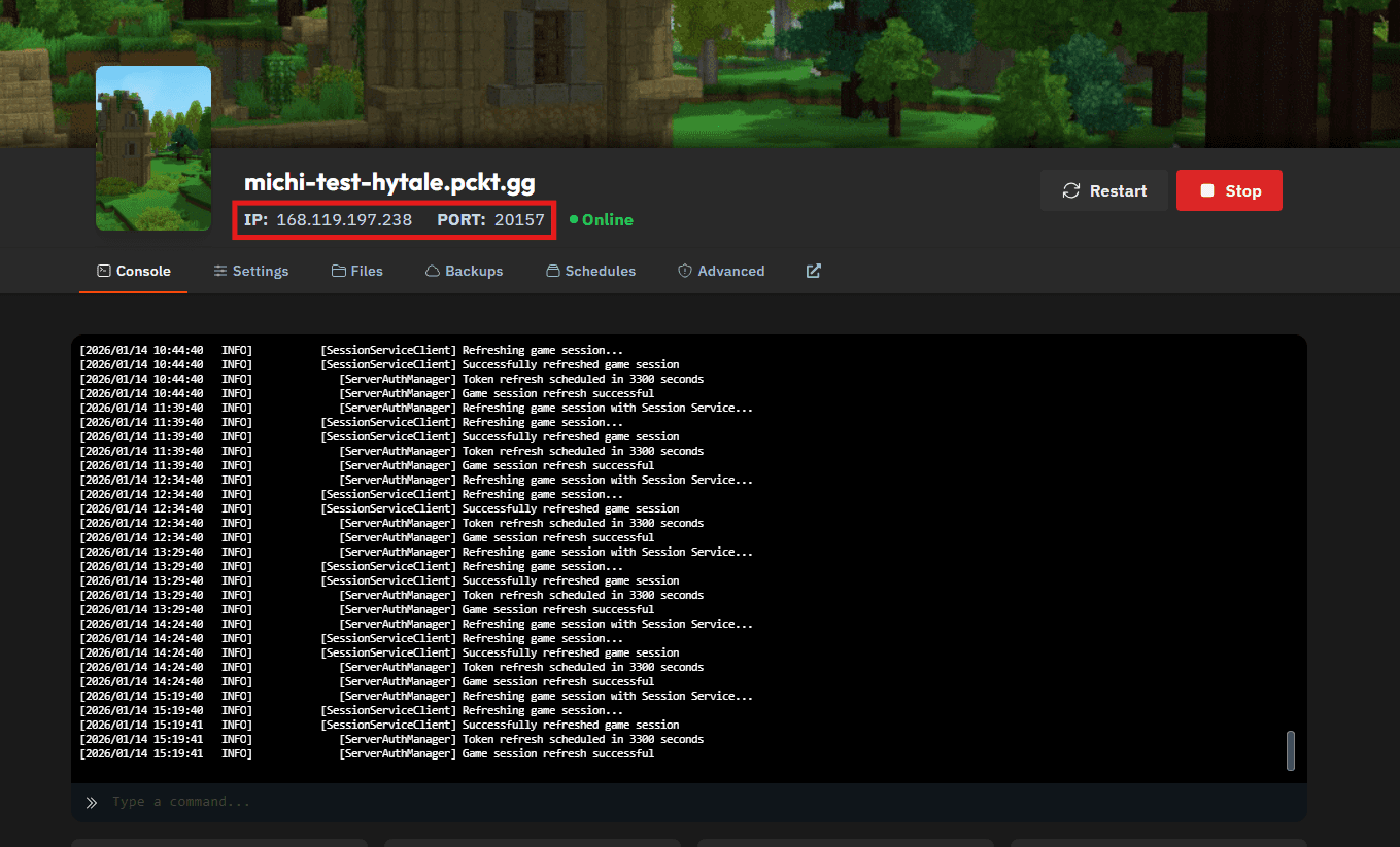 Hytale Connection Guide 1